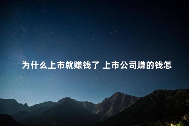 为什么上市就赚钱了 上市公司赚的钱怎么分